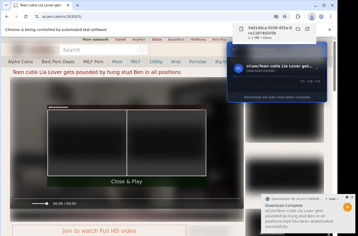 Xcum Video Downloader browser extension screenshot 2